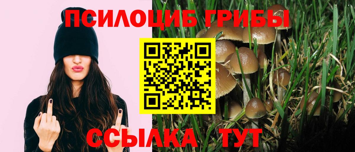 Галлюциногенные грибы ЛСД Сатка