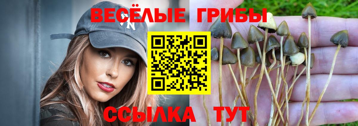 Псилоцибиновые грибы мухоморы  Вход с VPN  Псилоцибиновые грибы мухоморы  Сатка 
